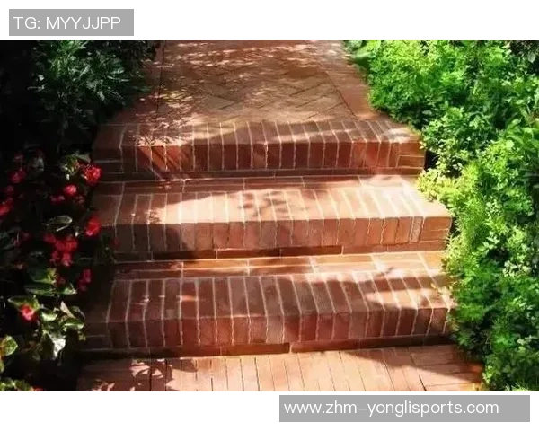 足球场的多种表达方式及其在不同语境中的应用解析