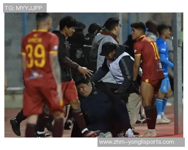 足球暴力事件频发引发社会关注如何有效遏制赛场暴力行为